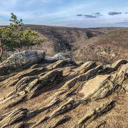 Slunecny Penzion Tasovice Exteriör bild